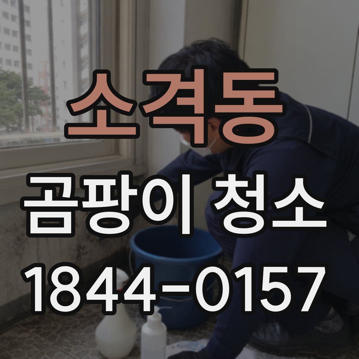 소격동 곰팡이 청소