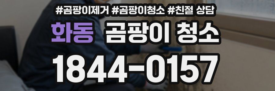화동 곰팡이 청소