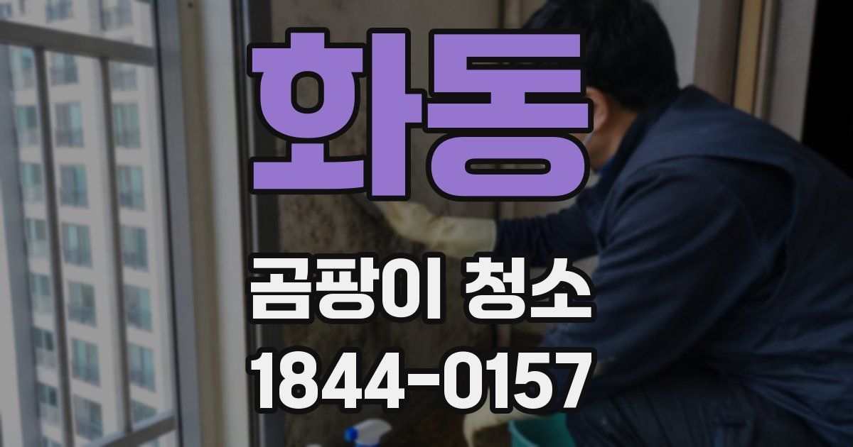 화동 곰팡이 청소