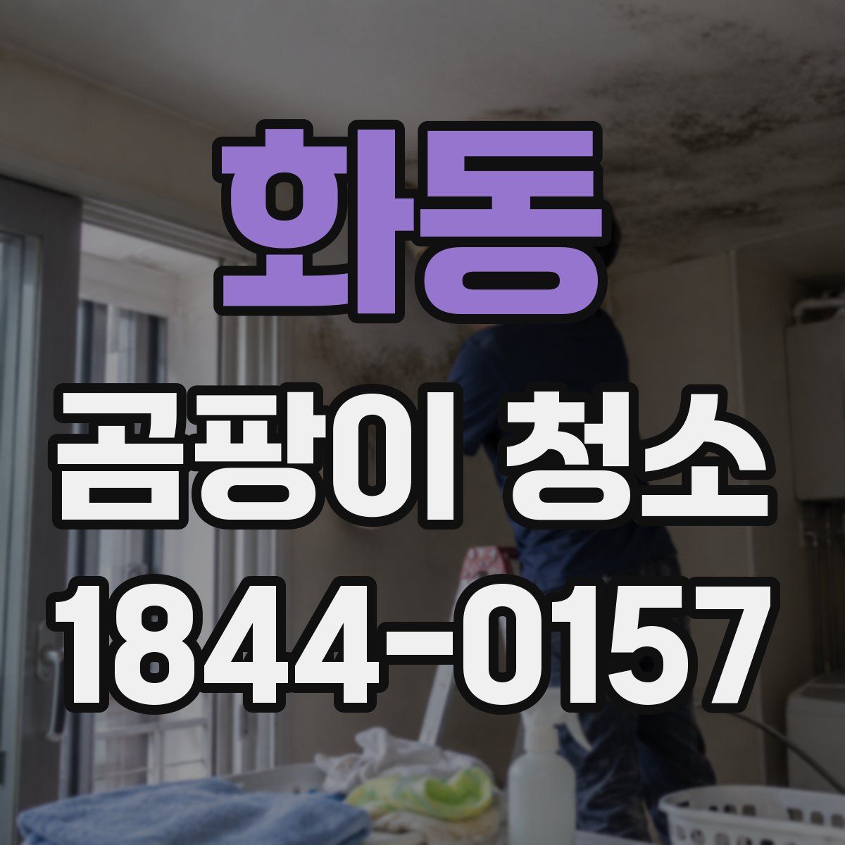 화동 곰팡이 청소