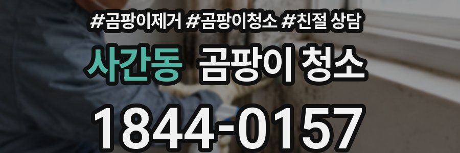 사간동 곰팡이 청소