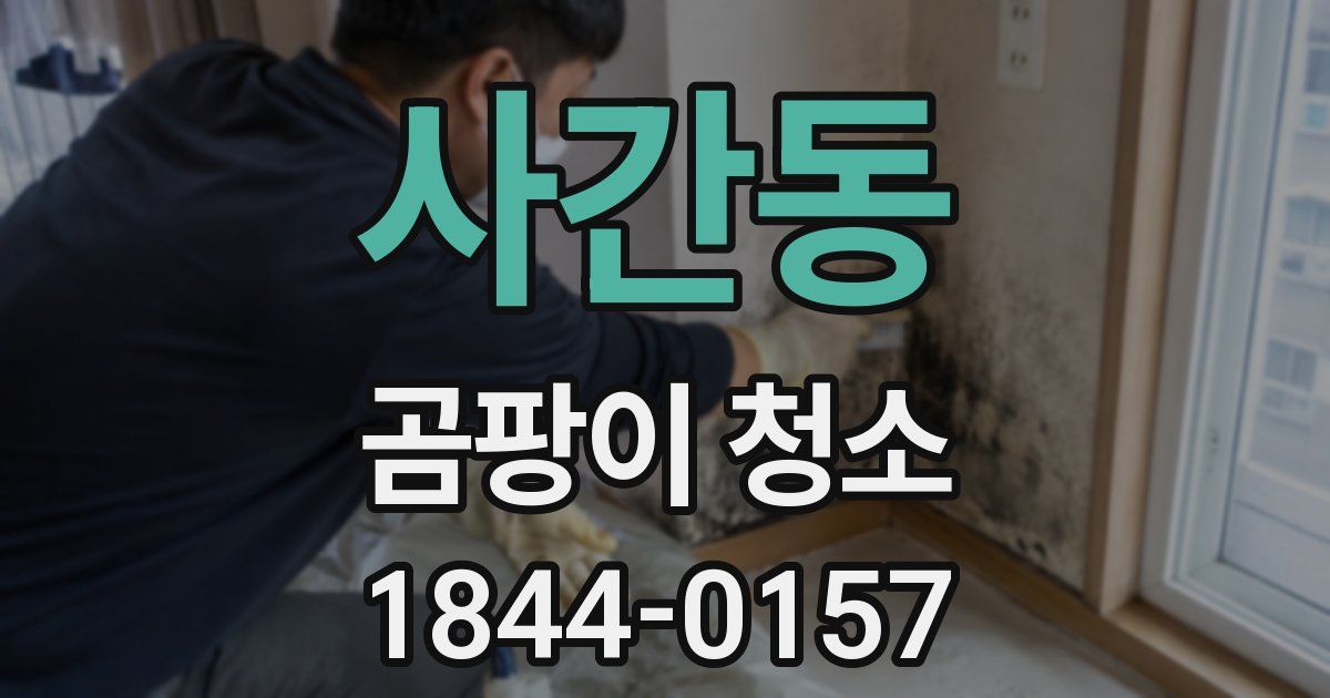 사간동 곰팡이 청소