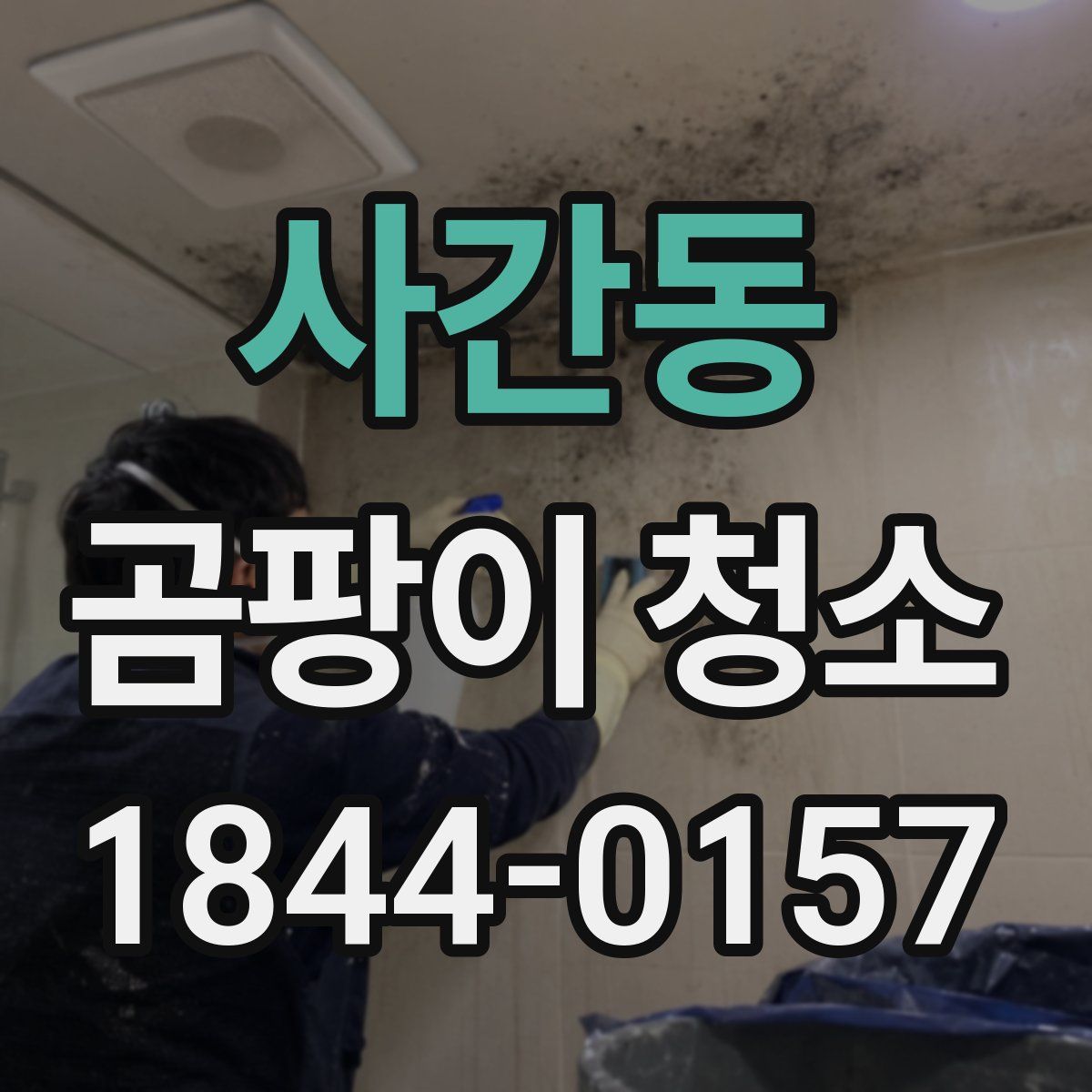 사간동 곰팡이 청소