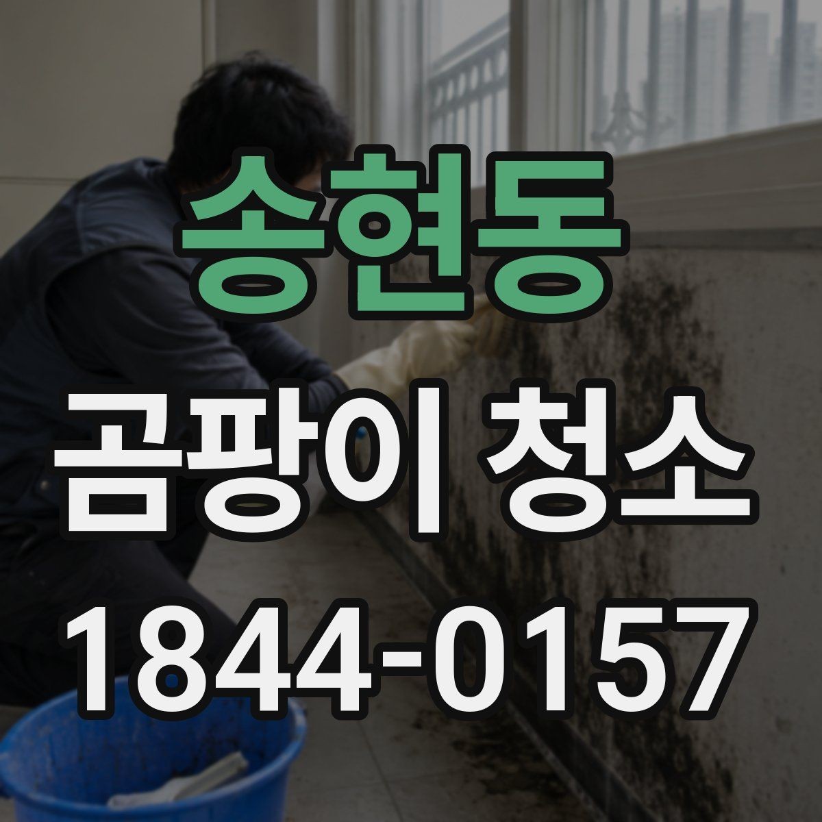 송현동 곰팡이 청소 일정 잡기 전 체크리스트