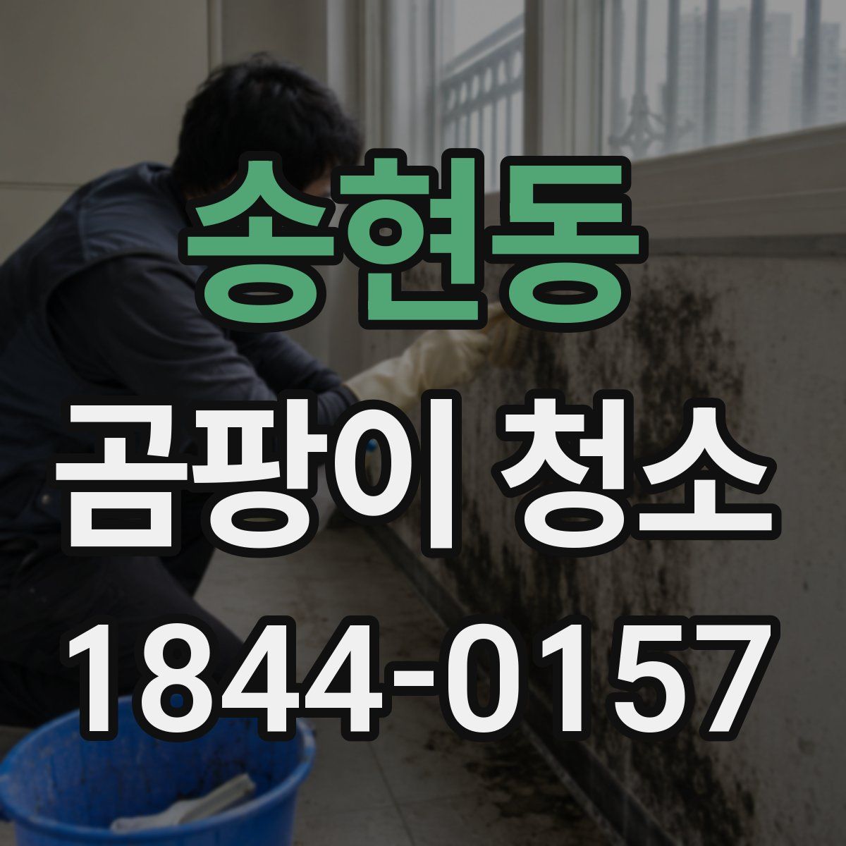 송현동 곰팡이 청소