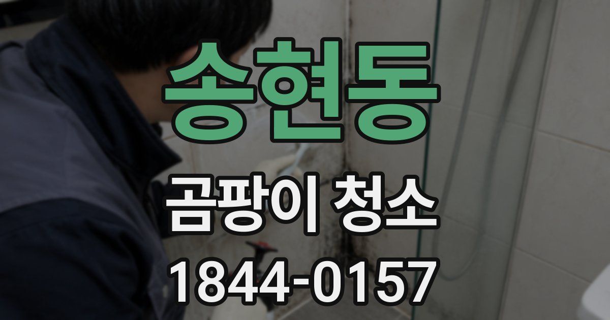 송현동 곰팡이 청소
