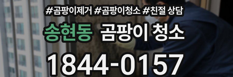 송현동 곰팡이 청소
