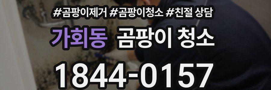 가회동 곰팡이 청소