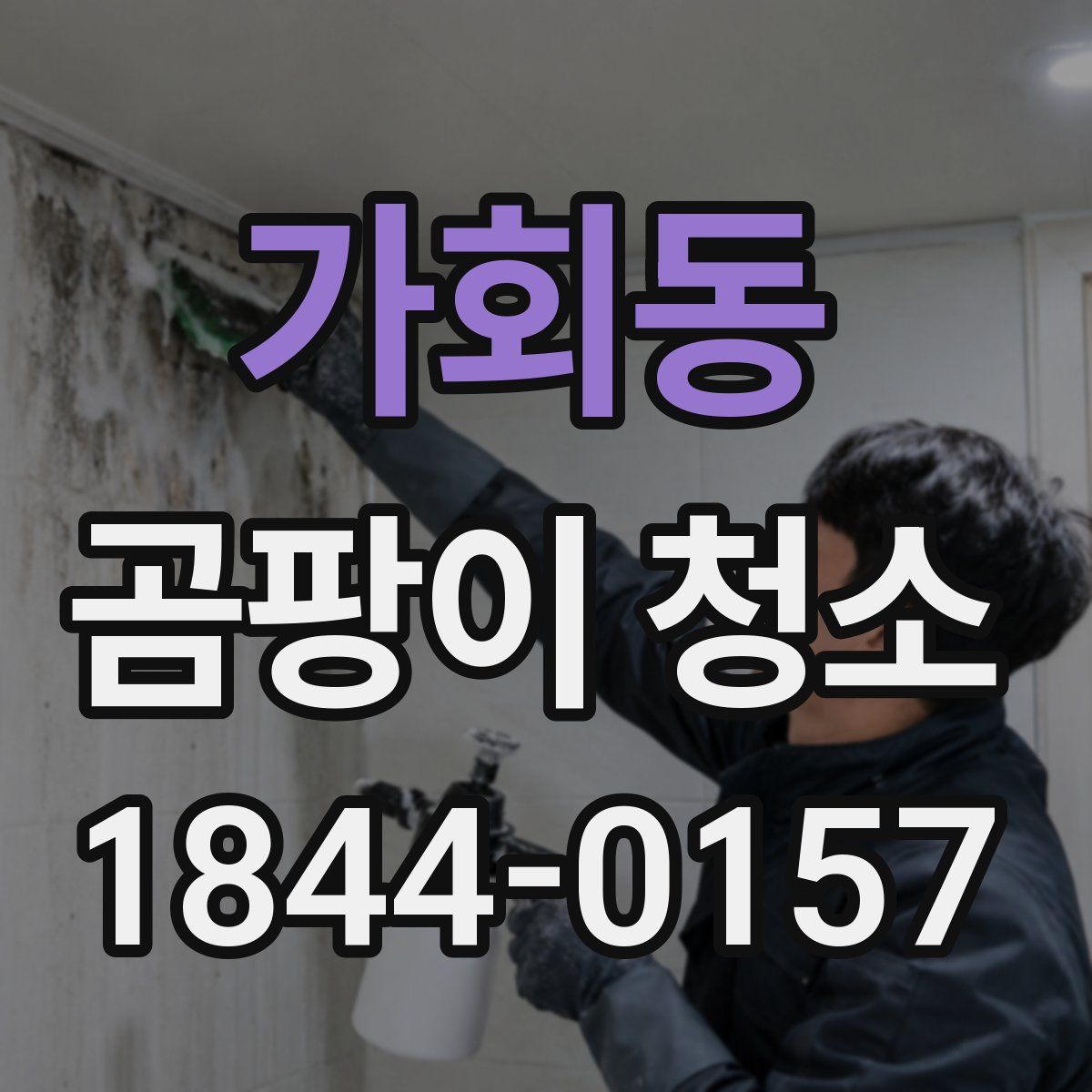 가회동 곰팡이 청소