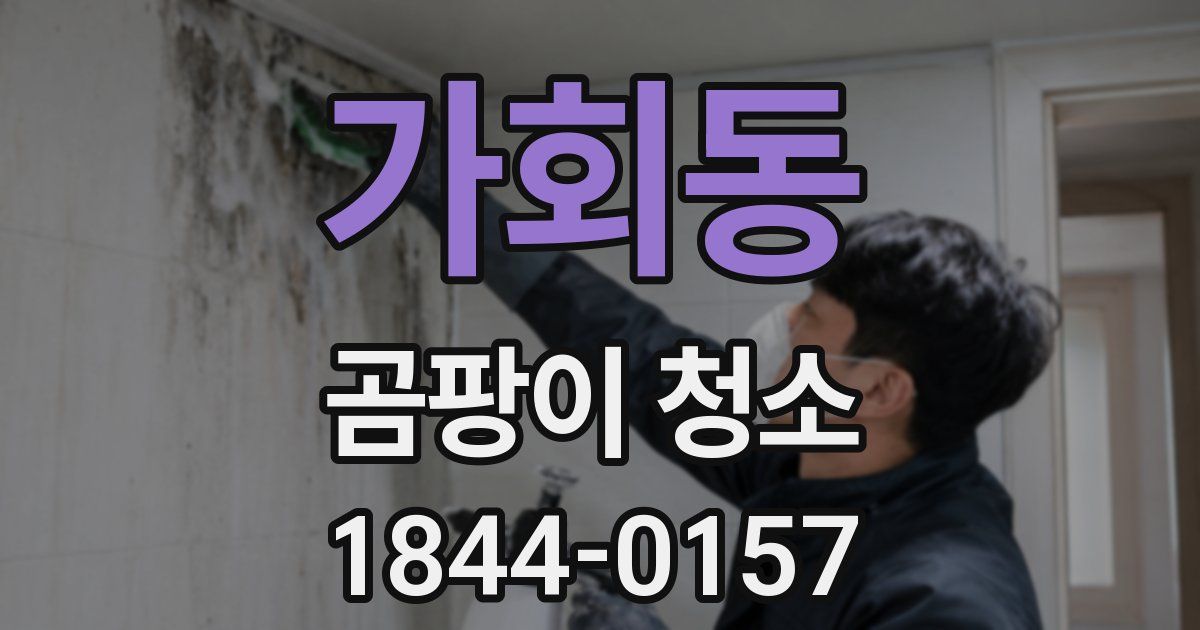 가회동 곰팡이 청소