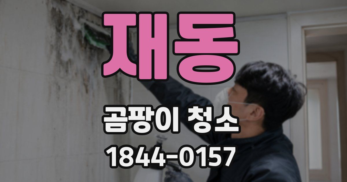 재동 곰팡이 청소