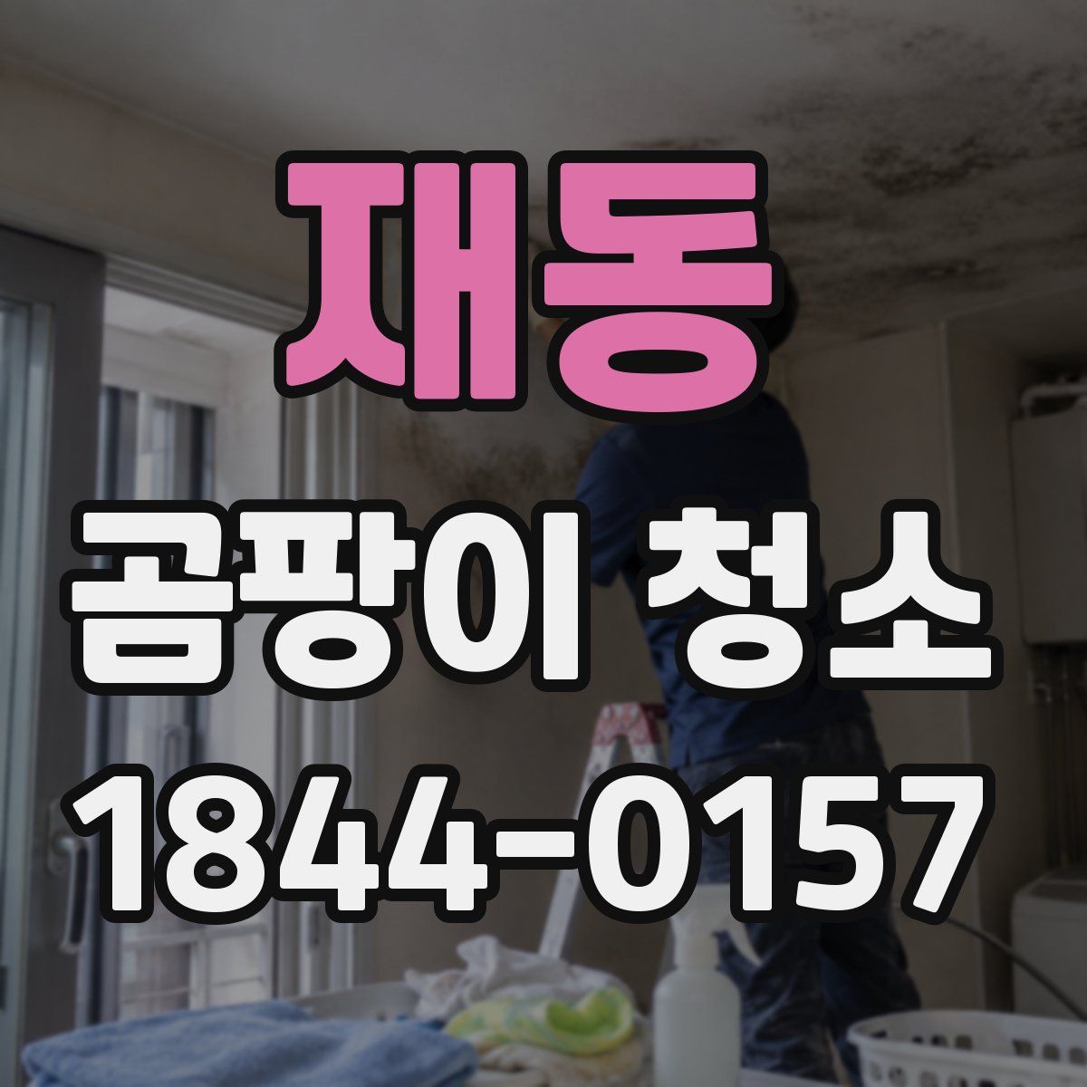 재동 곰팡이 청소