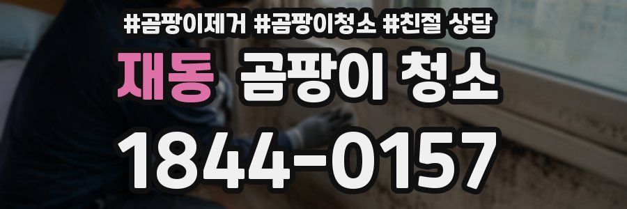 재동 곰팡이 청소