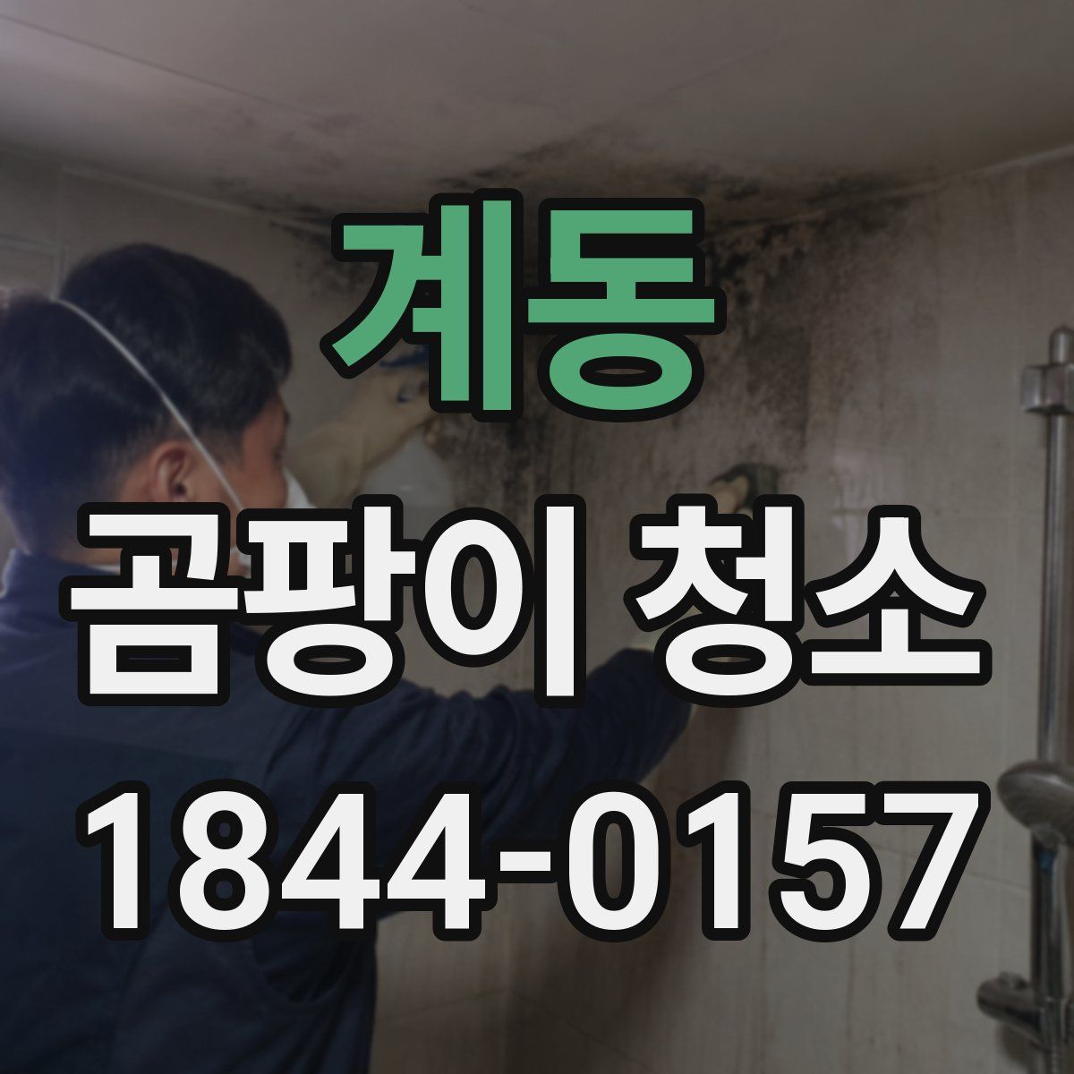 계동 곰팡이 청소