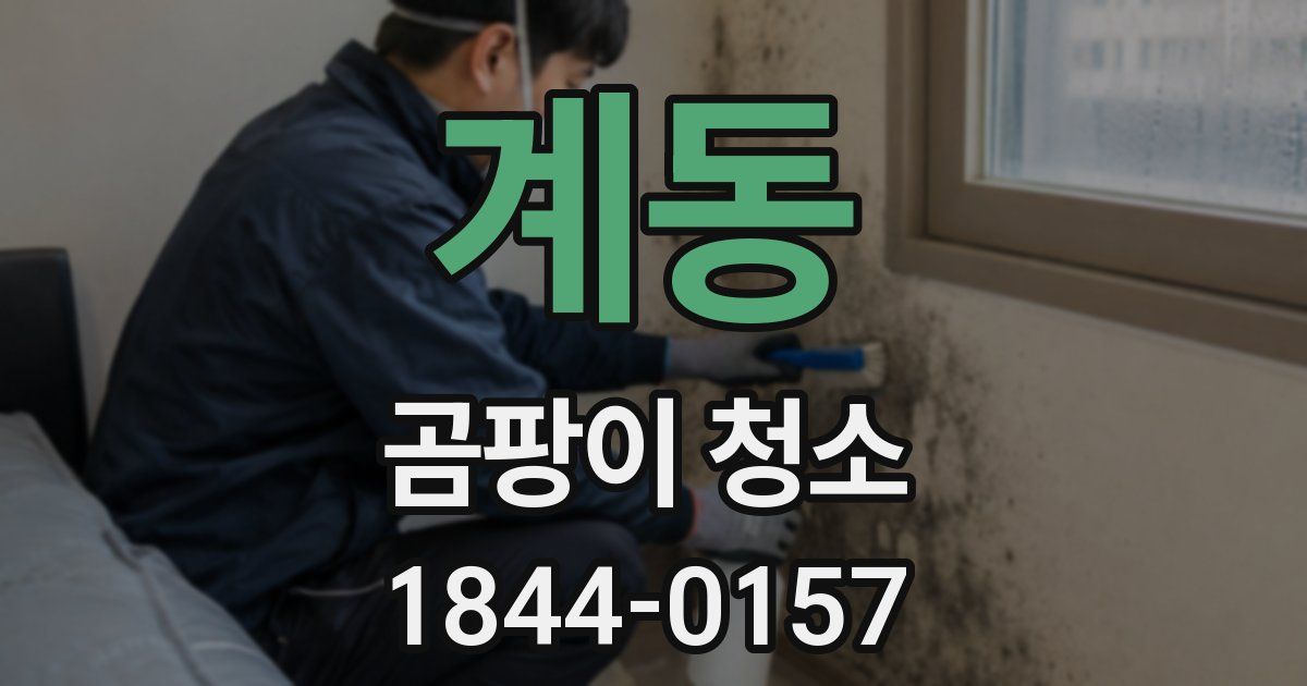 계동 곰팡이 청소