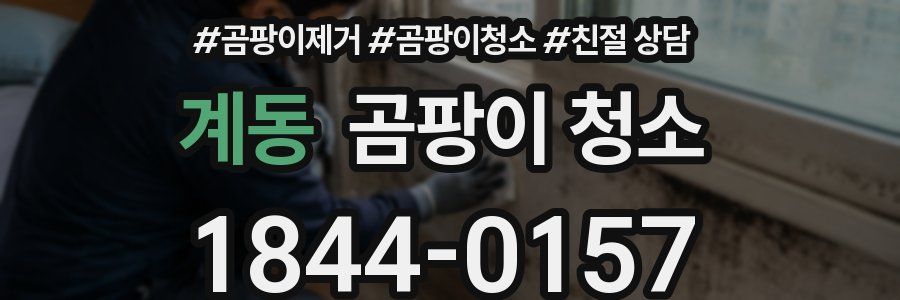계동 곰팡이 청소