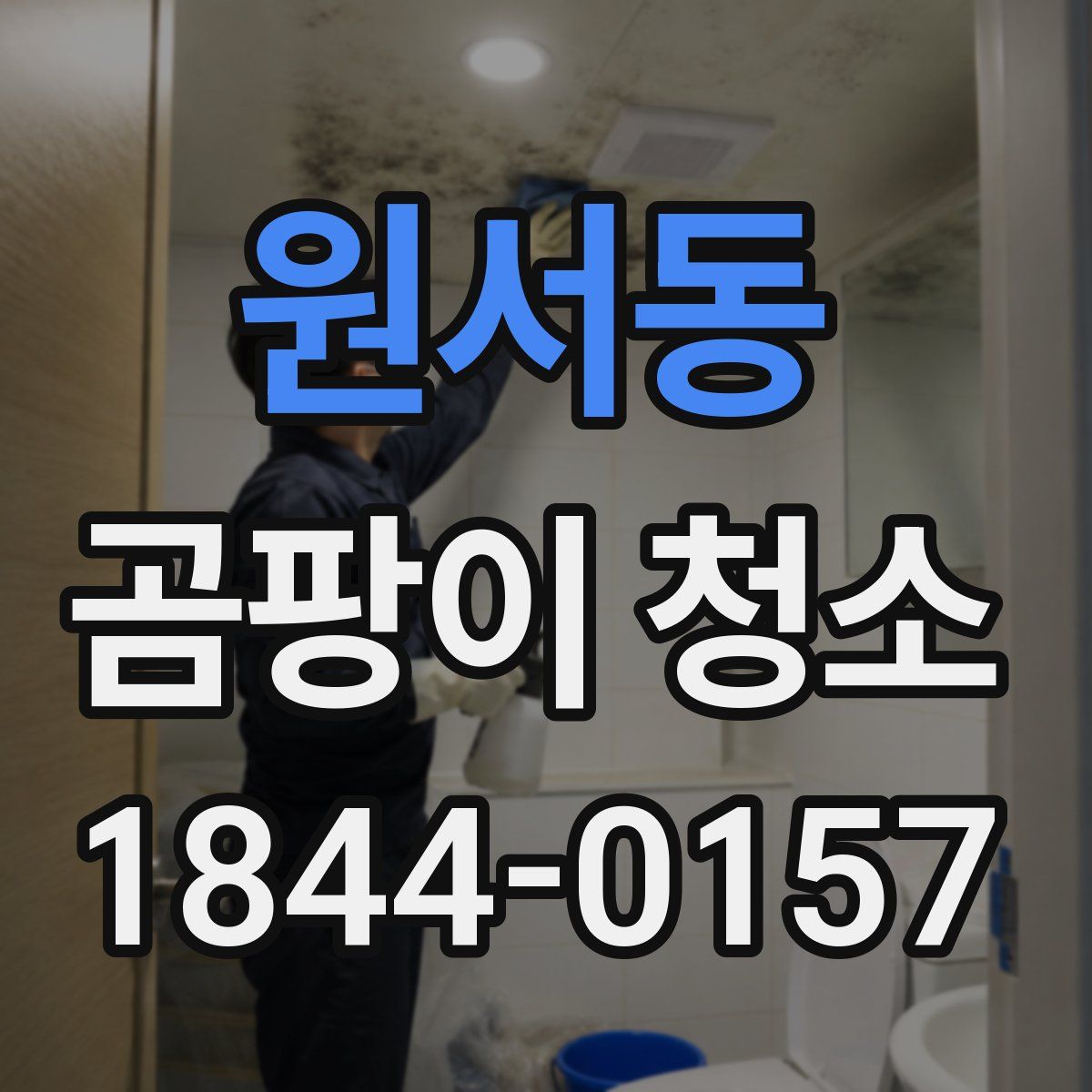 원서동 곰팡이 청소