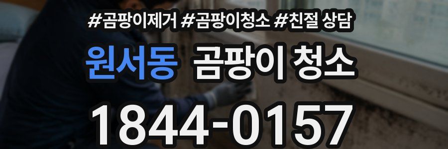 원서동 곰팡이 청소