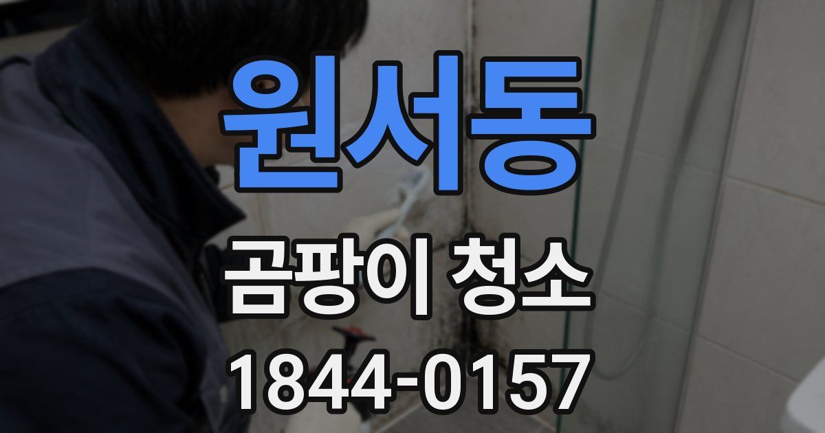 원서동 곰팡이 청소