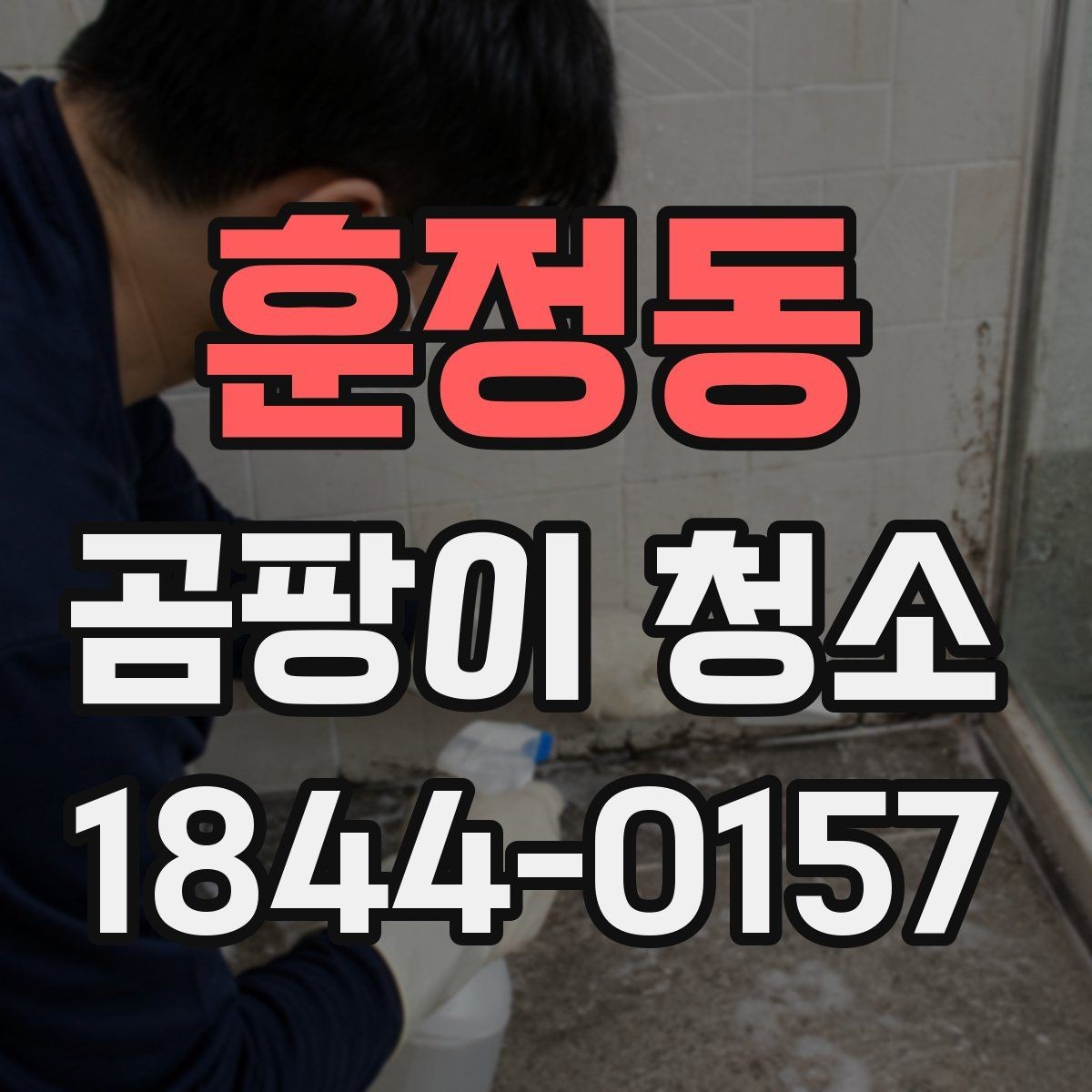 훈정동 곰팡이 청소 전에 집주인이 확인할 내용