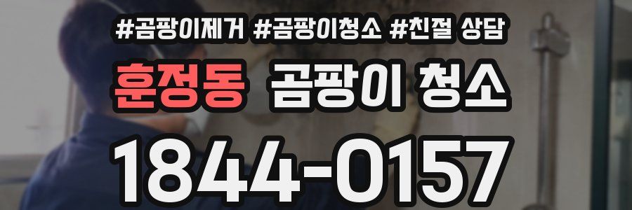 훈정동 곰팡이 청소