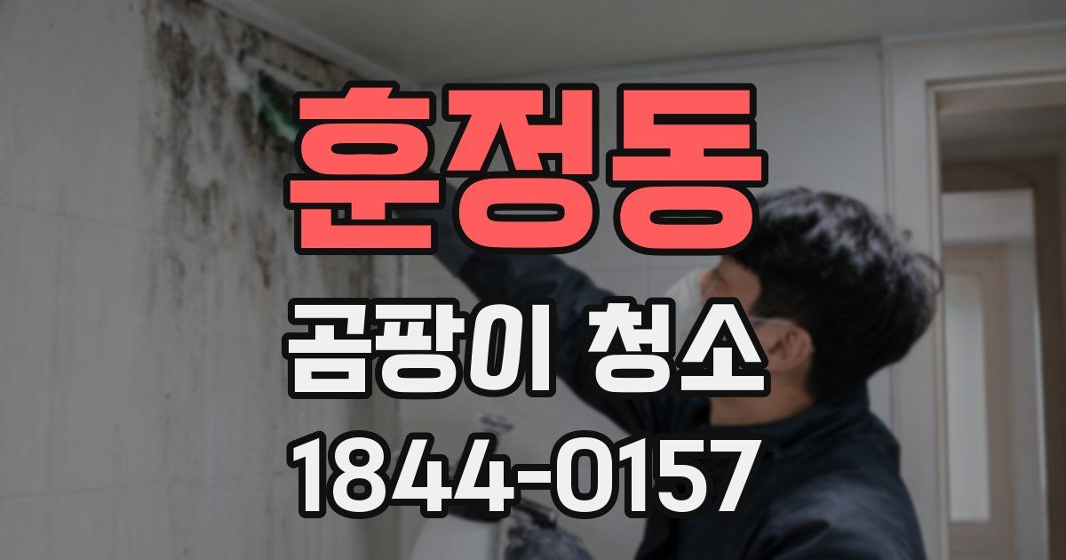 훈정동 곰팡이 청소