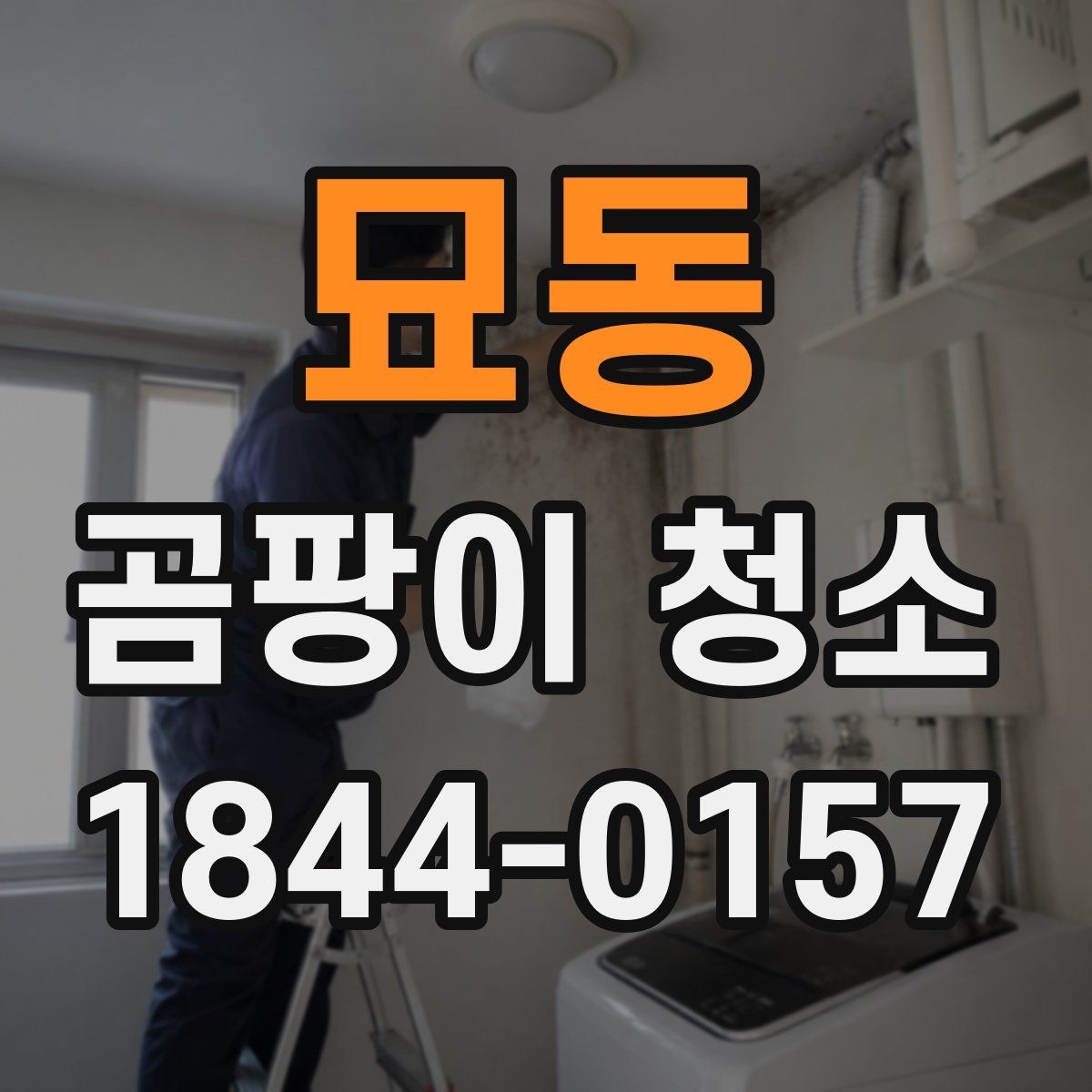 묘동 곰팡이 청소 후 추가 방지 대책 세우는 법