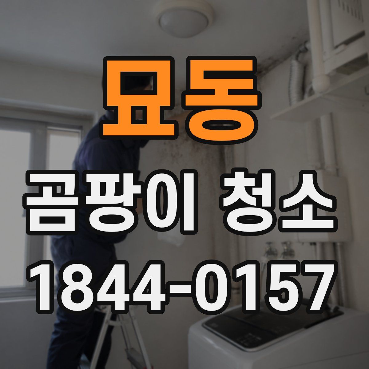 묘동 곰팡이 청소