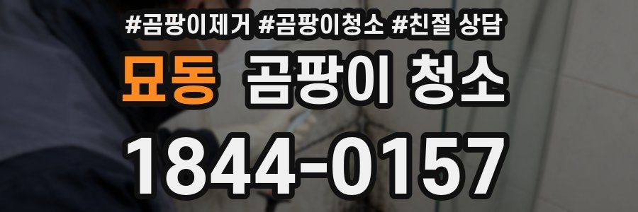 묘동 곰팡이 청소
