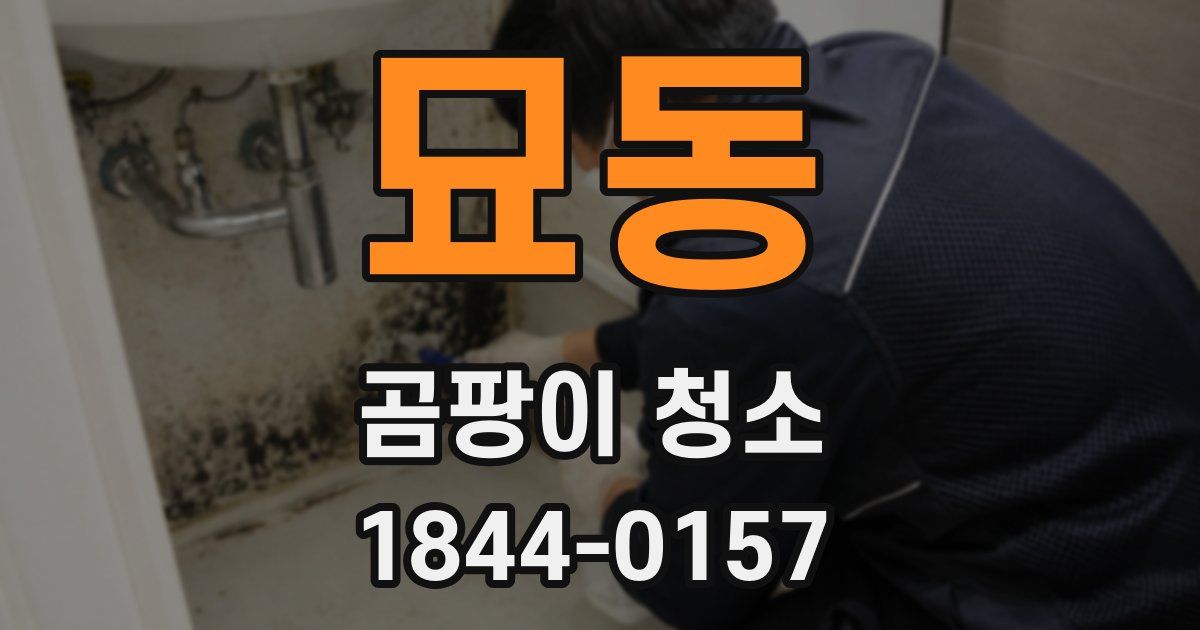 묘동 곰팡이 청소