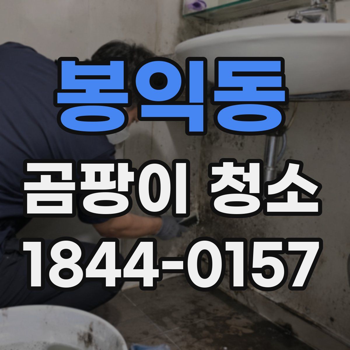 봉익동 곰팡이 청소
