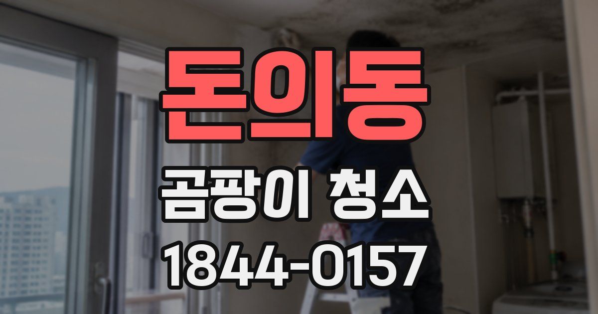 돈의동 곰팡이 청소