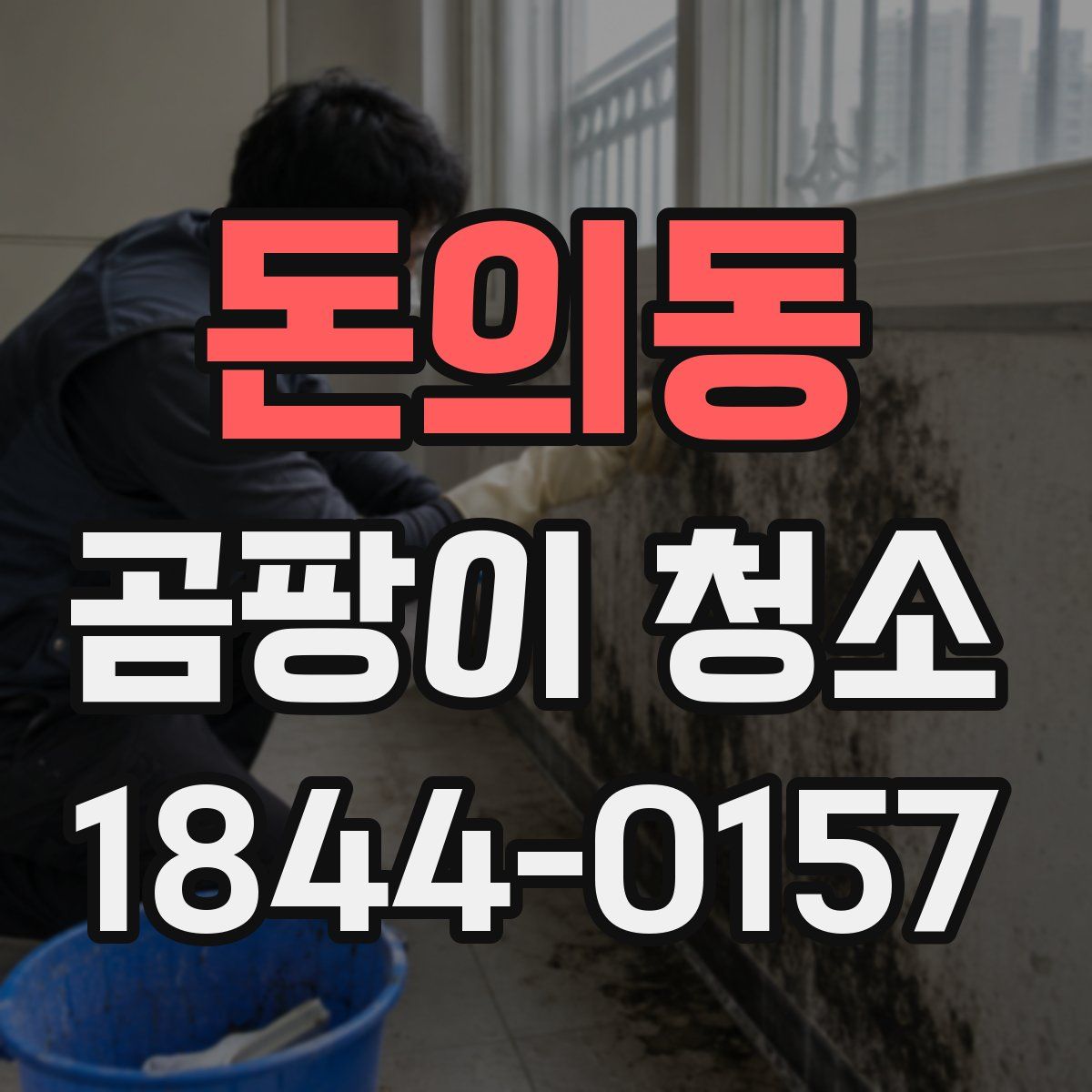 돈의동 곰팡이 청소