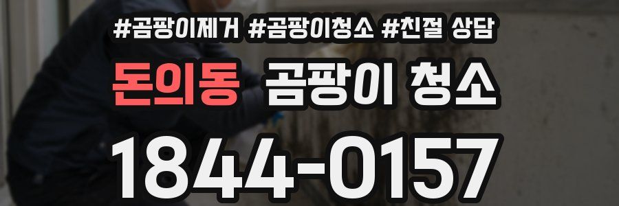 돈의동 곰팡이 청소