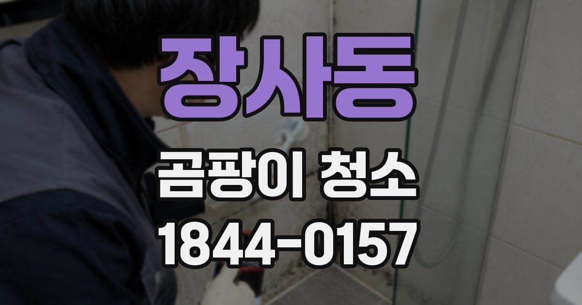 장사동 곰팡이 청소