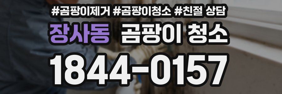 장사동 곰팡이 청소