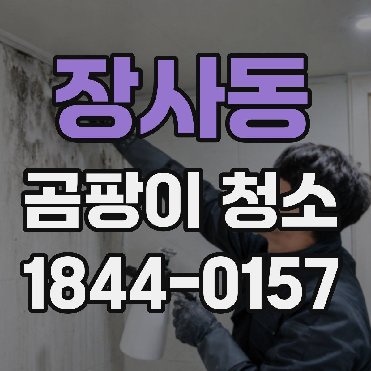 장사동 곰팡이 청소