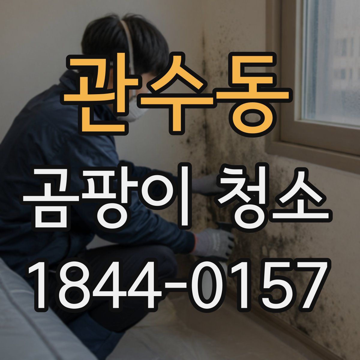 관수동 곰팡이 청소