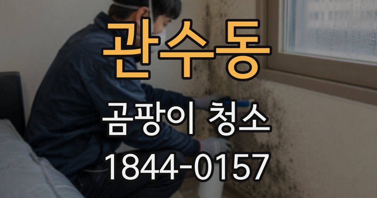 관수동 곰팡이 청소