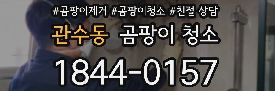 관수동 곰팡이 청소