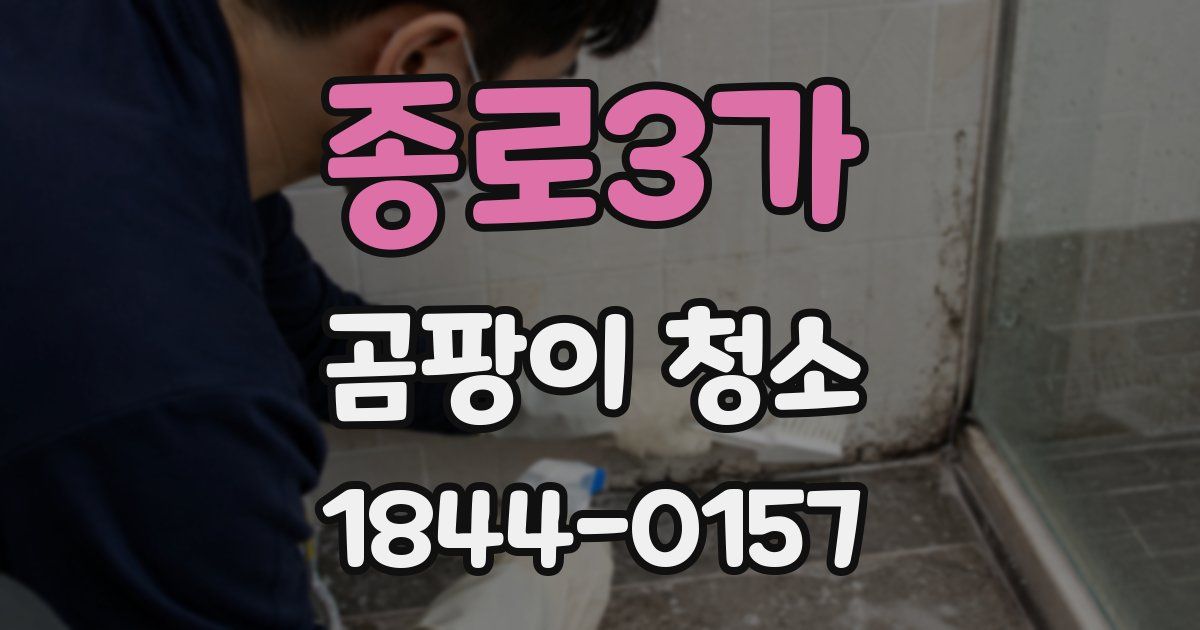 종로3가 곰팡이 청소