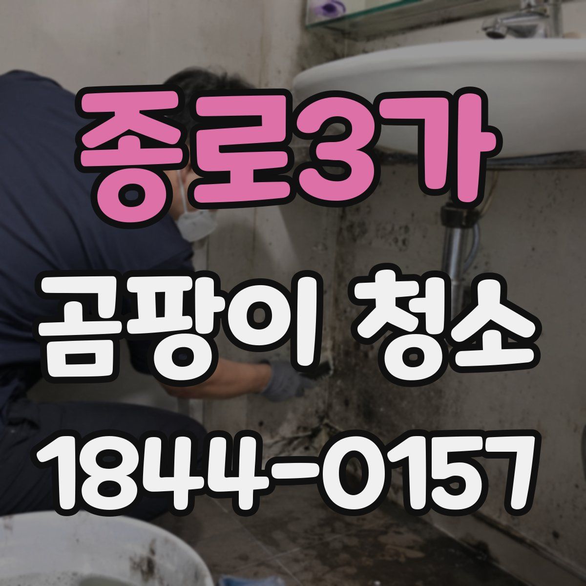 종로3가 곰팡이 청소