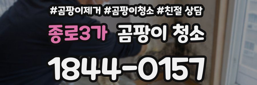 종로3가 곰팡이 청소