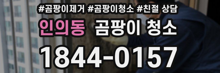 인의동 곰팡이 청소