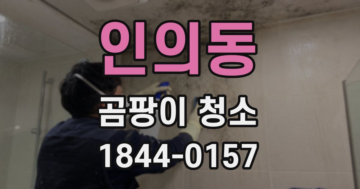 인의동 곰팡이 청소