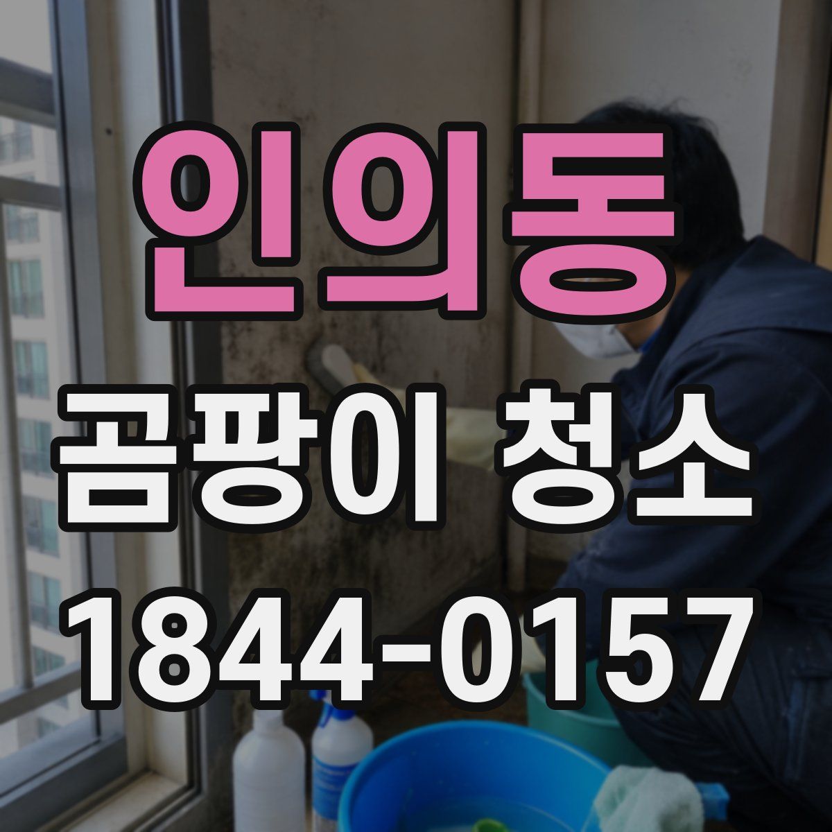 인의동 곰팡이 청소