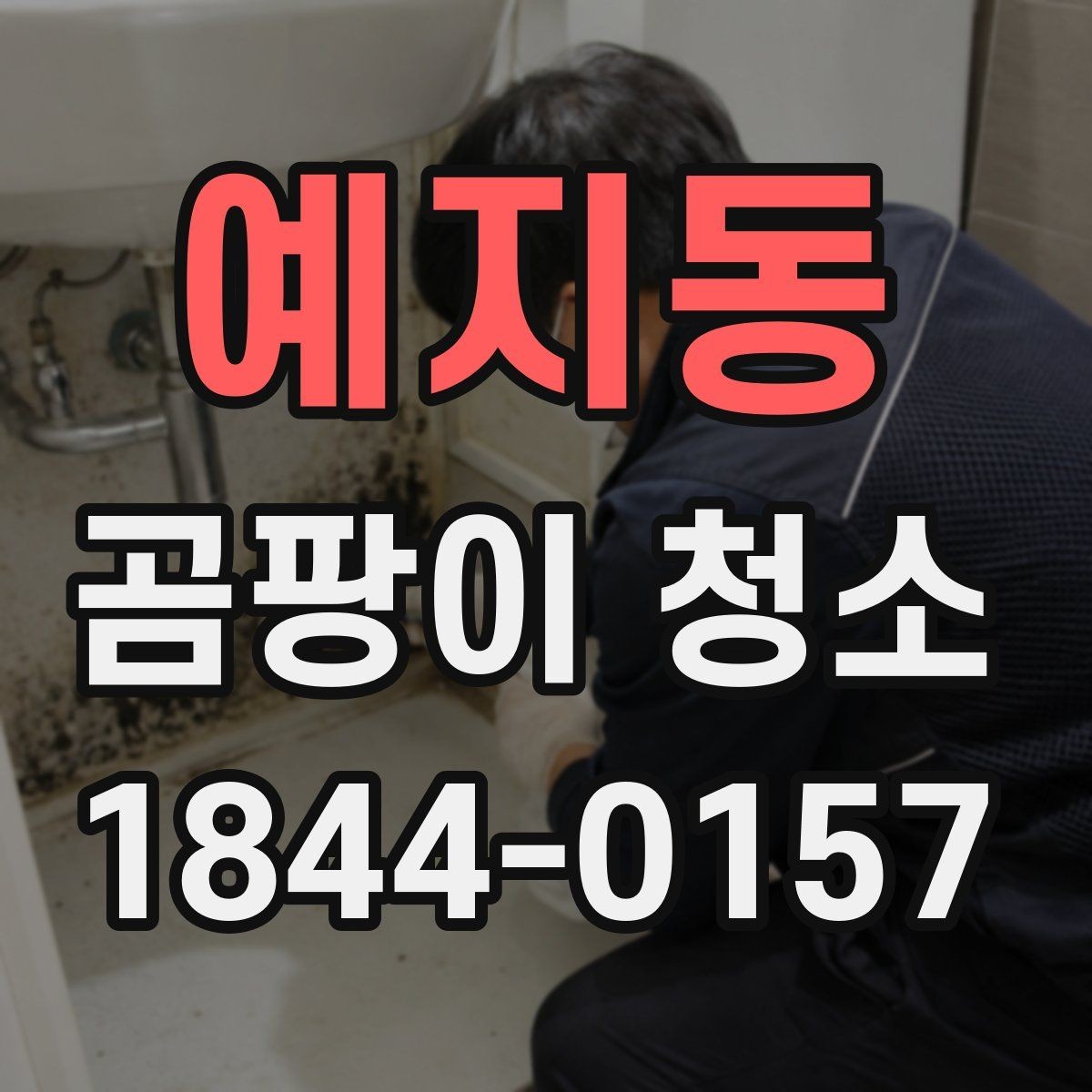 예지동 곰팡이 청소 후 다시 생기지 않게 하는 법