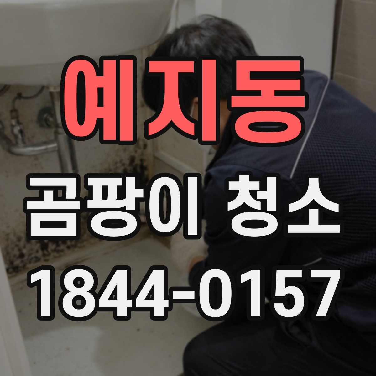 예지동 곰팡이 청소