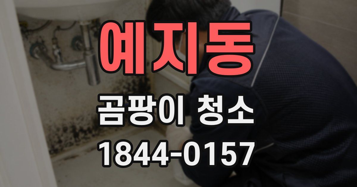 예지동 곰팡이 청소