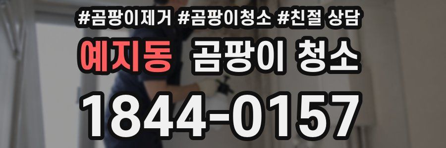 예지동 곰팡이 청소